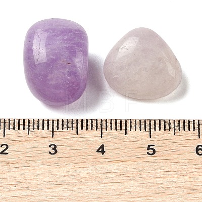 Natural Amethyst Beads G-Z062-09B-1