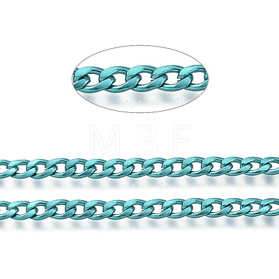 Electrophoresis 304 Stainless Steel Curb Chains CHS-I003-Q05-1