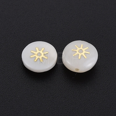 Natural Freshwater Shell Beads SHEL-N003-22-10-1