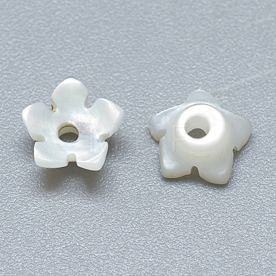 Natural White Shell Beads SSHEL-S260-014-1
