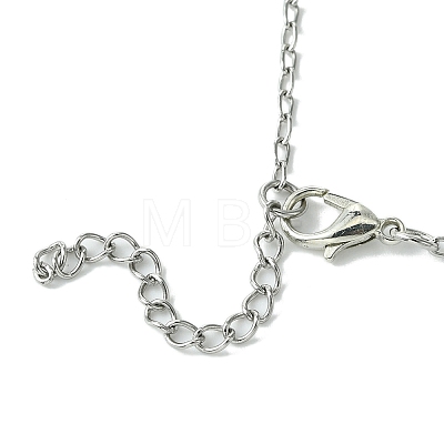 Gothic 304 Stainless Steel Cable Chain Necklaces NJEW-JN04983-02-1