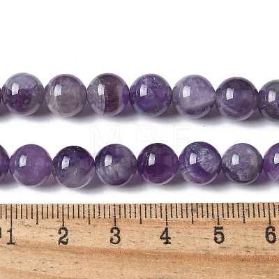 Natural Amethyst Beads Strands G-M445-8MM-01E-1