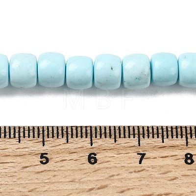 Natural Magnesite Beads Strands G-P598-C01-01B-1
