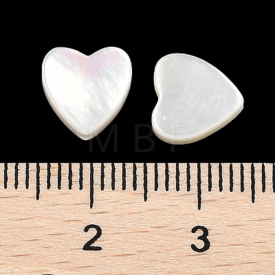 Natural White Shell Beads SSHEL-I026-09-1