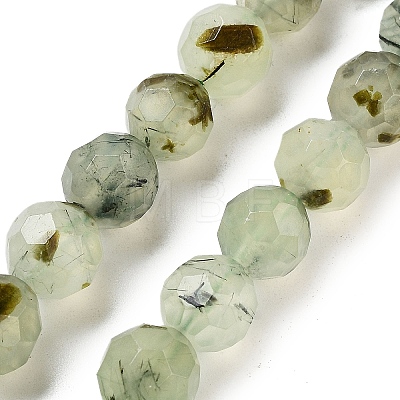 Natural Prehnite Beads Strands G-C150-B02-02-1