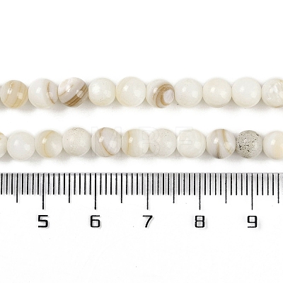 Natural Freshwater Shell Beads Strands BSHE-H109-03C-1