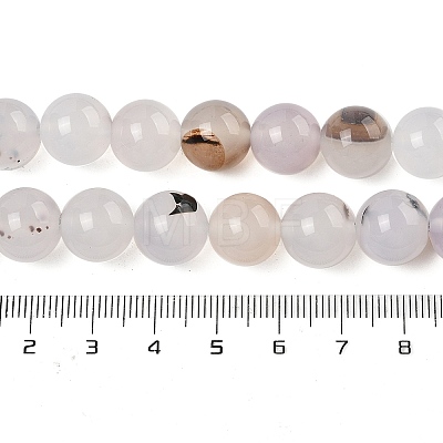 Natural Dendritic Agate Beads Strands G-A248-A07-04-1