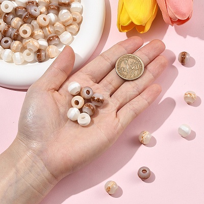 30Pcs Resin European Beads RESI-YW0006-36A-1