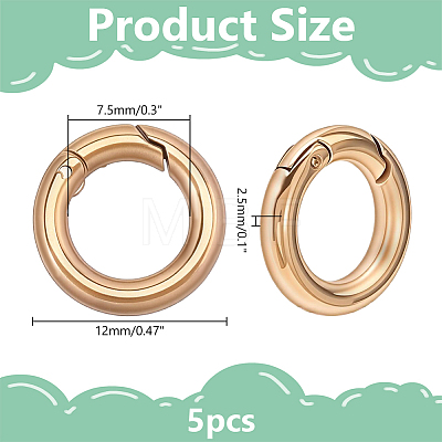 5Pcs 304 Stainless Steel Spring Gate Clasp Findings STAS-HY0002-14G-1
