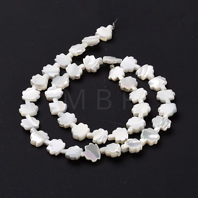 Natural Trochid Shell Beads Strands SSHEL-G023-09B-1