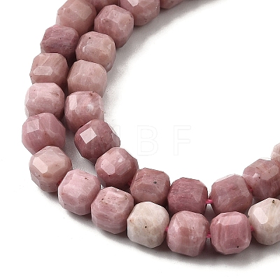 Natural Rhodonite Beads Strands G-F797-A07-01-1