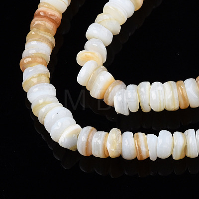 Natural Freshwater Shell Beads Strands SHEL-S278-067G-1