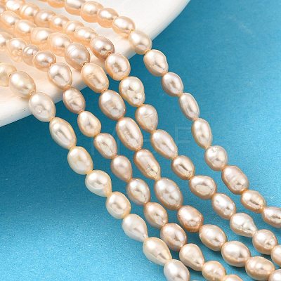 Natural Cultured Freshwater Pearl Beads Strands PEAR-I007-01P-02-1