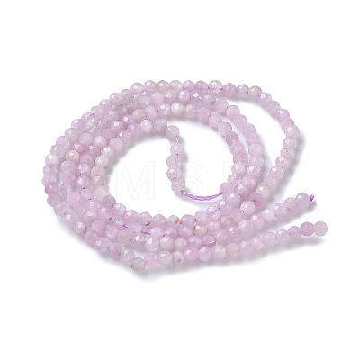 Natural Kunzite/Spodumene Beads Strands G-L651-C12-2mm-01-1