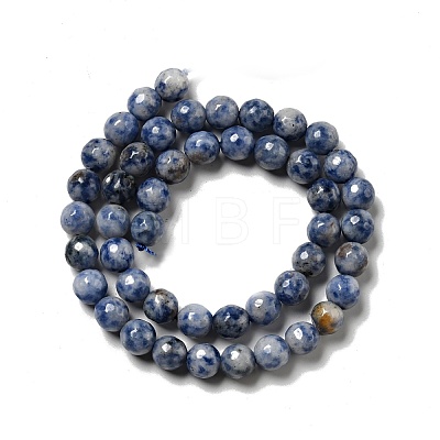 Natural Blue Spot Jasper Beads Strands G-P476-01C-02-1