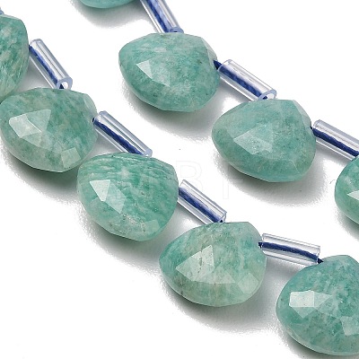 Natural Amazonite Beads Strands G-C292-A11-01-1