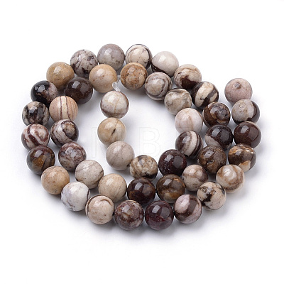 Natural Zebra Jasper Beads Strands G-S259-30-6mm-1