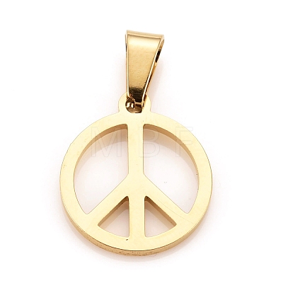 304 Stainless Steel Pendants LS-STAS-F239-13G-A-1