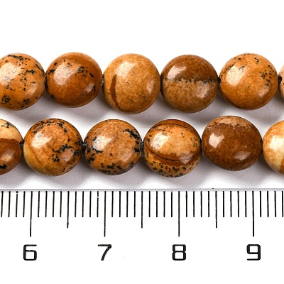 Natural Picture Jasper Beads Strands G-T047-A22-01-1