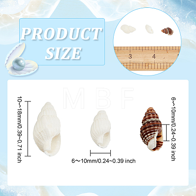   Natural Sea Shell Beads Strands SHEL-PH0001-41-1