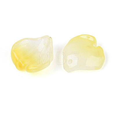 Transparent Glass Pendants GLAA-T030-05-01-1