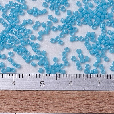 MIYUKI Delica Beads Small X-SEED-J020-DBS0725-1