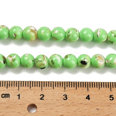 Assembled Synthetic Stone and Trochus Shell Beads Strands G-B128-08B-07-1