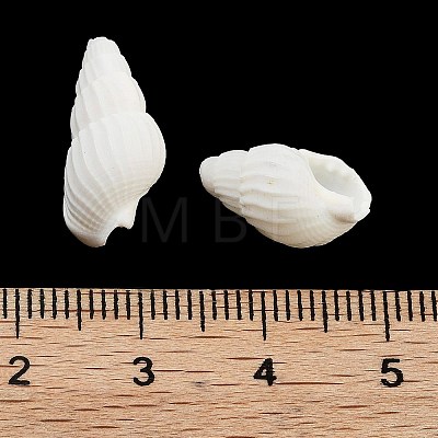 Natural Spiral Shell Beads BSHE-G038-06A-1