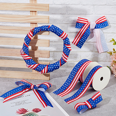  2 Rolls 2 Styles Independence Day Polyester Ribbon OCOR-NB0001-70-1