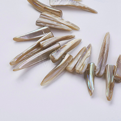Natural Shell Beads Strands BSHE-P026-25-1