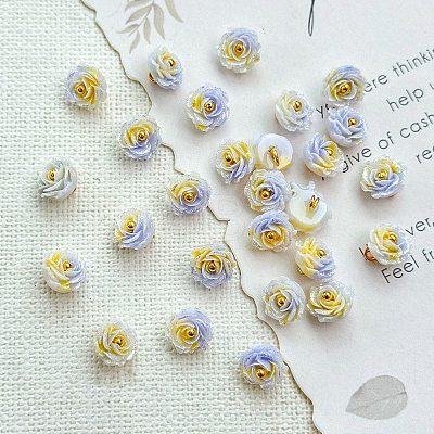 Two Tone Transparent Resin Charms RESI-CJC0023-19C-1