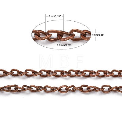Iron Side Twisted Chain CH-BSFN0.9-R-FF-1