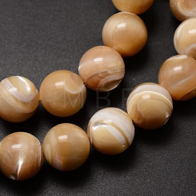 Natural Sea Shell Beads Strands SSHEL-K013-12mm-B-1