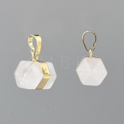Natural Quartz Crystal Double Terminated Pointed Pendants G-P049-05G-1