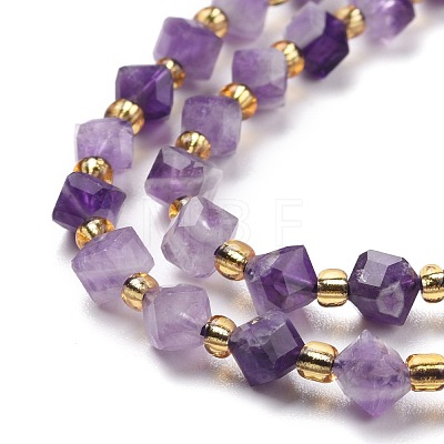 Natural Chevron Amethyst Beads Strands G-P463-13-1