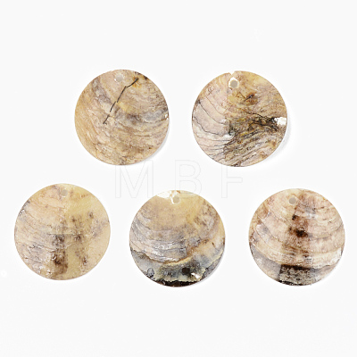Natural Akoya Shell Pendants SHEL-R048-023-1