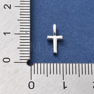 925 Sterling Silver with Cubic Zirconia Charms STER-Q004-01T-S-1