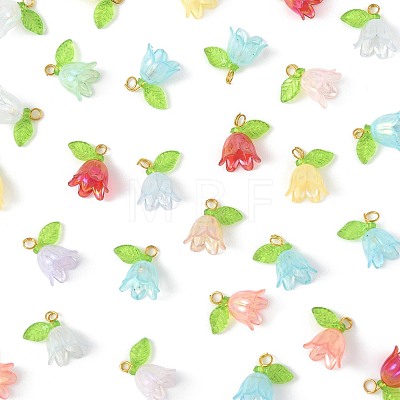 50Pcs Transparent Acrylic Pendants PALLOY-FS00043-03-1