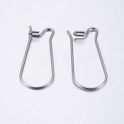 Tarnish Resistant 304 Stainless Steel Hoop Earrings LS-STAS-L198-15A-P-1