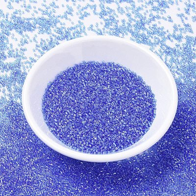 MIYUKI Delica Beads X-SEED-J020-DB1250-1