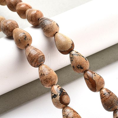 Natural Picture Jasper Beads Strands G-B106-A18-02-1