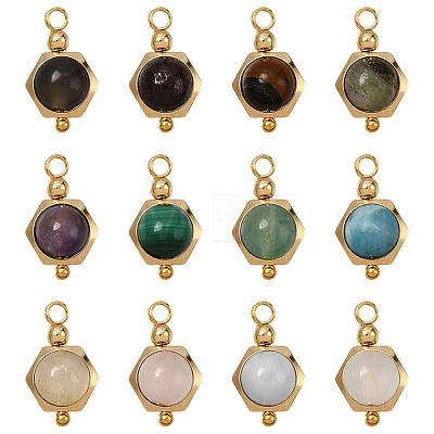 12Pcs 12 Styles Round Natural Mixed Gemstone Charms PALLOY-SW00151-1
