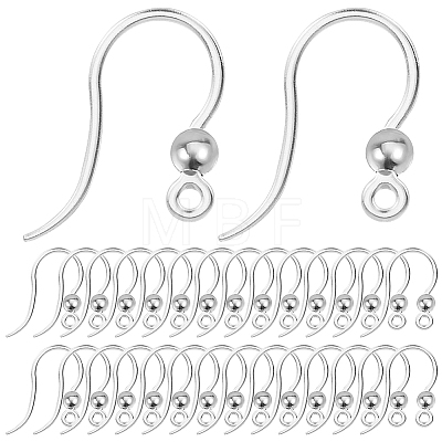 80Pcs Eco-Friendly Plastic Earring Hooks STAS-SC0004-43S-1