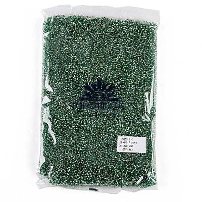 TOHO Round Seed Beads SEED-TR08-0755-1
