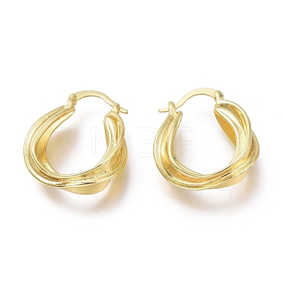 Brass Hoop Earrings EJEW-H104-03G-1