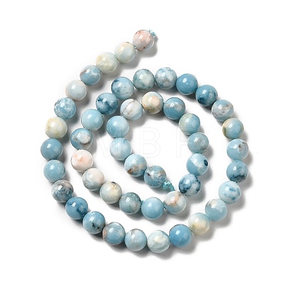 Natural Gemstone Beads Strands G-F730-02B-1
