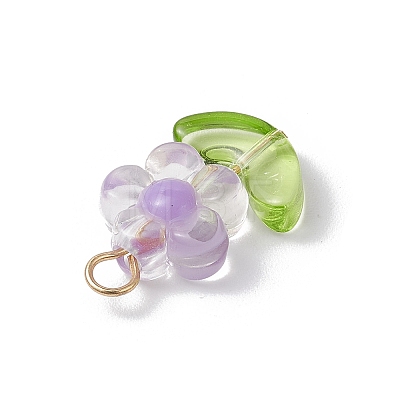 Transparent Acrylic Pendants PALLOY-JF03713-02-1