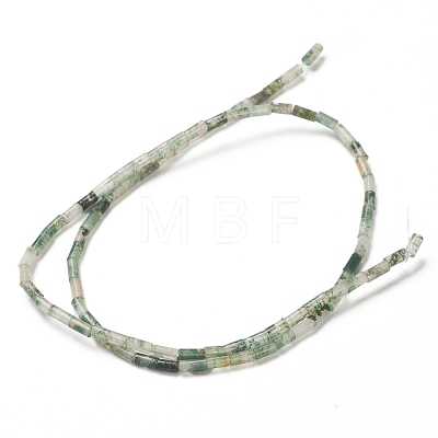 Natural Moss Agate Beads Strands G-B004-A28-1