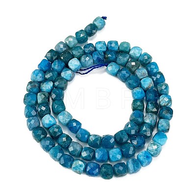 Natural Apatite Beads Strands X-G-E560-A07-4mm-A-1