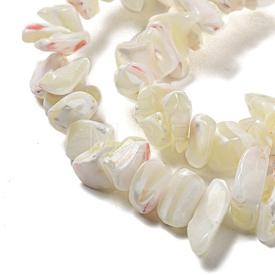 Natural Trochus Shell Beads Strands SSHEL-H072-04-1